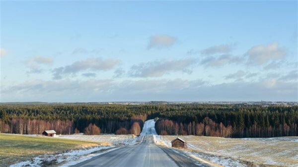 Staying Relevant in AI age – The Swedish way